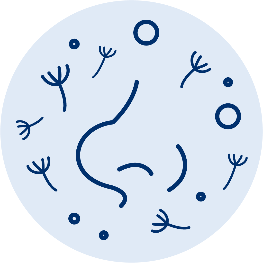 Per coadiuvare il trattamento delle riniti allergiche